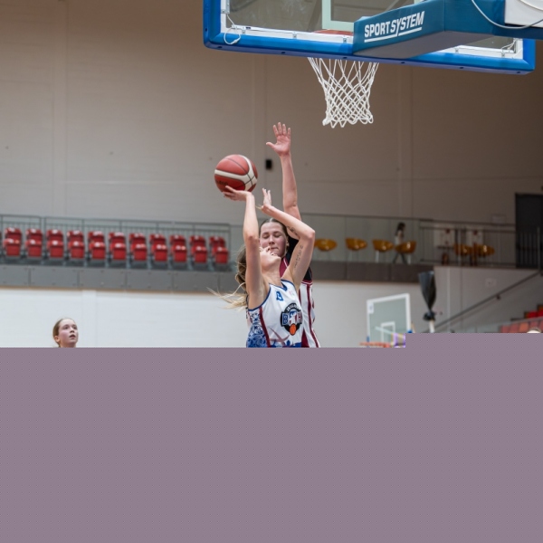 Raimonds_Subatovics_T26676432_BKJ-93